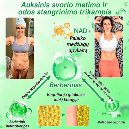 🌻 DR.Fachmer® 15 viename nanomikroadatinis pleistras su moringa, berberinu ir NAD+ | Naujos kartos kūno priežiūra su pažangia nano formule 🌻