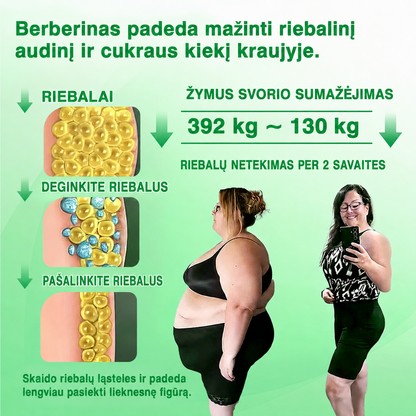 🌻 DR.Fachmer® 15 viename nanomikroadatinis pleistras su moringa, berberinu ir NAD+ | Naujos kartos kūno priežiūra su pažangia nano formule 🌻