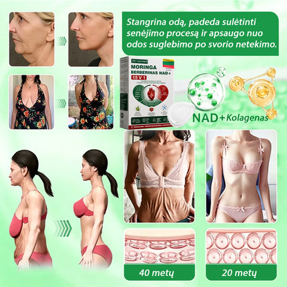 🌻 DR.Fachmer® 15 viename nanomikroadatinis pleistras su moringa, berberinu ir NAD+ | Naujos kartos kūno priežiūra su pažangia nano formule 🌻