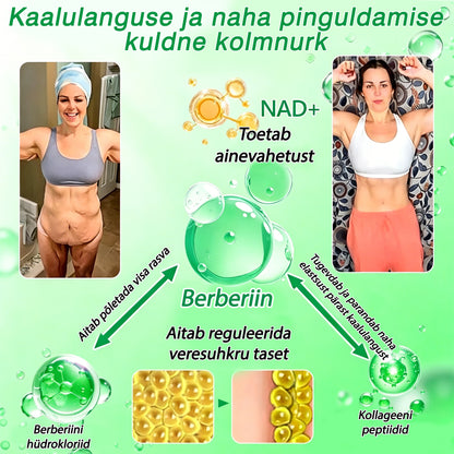 ⏰ DR.Fachmer® 15-ühes nano-mikronõelplaaster moringa, berberiini ja NAD+-iga | Uue põlvkonna kehahooldus täiustatud nanovalemiga ⏰