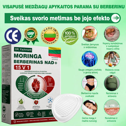 🌻 DR.Fachmer® 15 viename nanomikroadatinis pleistras su moringa, berberinu ir NAD+ | Naujos kartos kūno priežiūra su pažangia nano formule 🌻