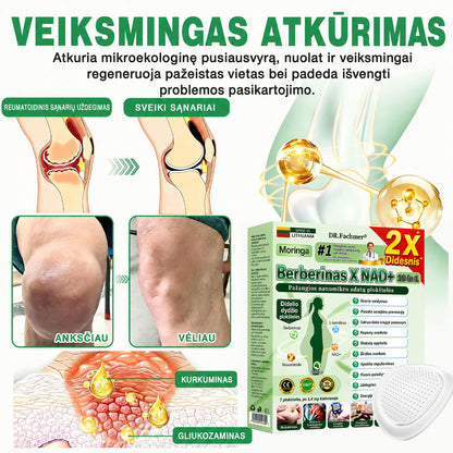 ✨ DR.Fachmer® 15 viename nanomikroadatinis pleistras su moringa, berberinu ir NAD+ | Naujos kartos kūno priežiūra su pažangia nano formule ✨