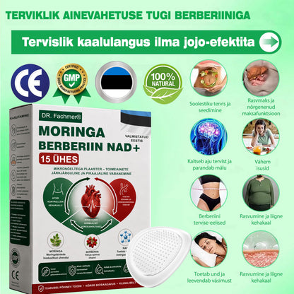 ⏰ DR.Fachmer® 15-ühes nano-mikronõelplaaster moringa, berberiini ja NAD+-iga | Uue põlvkonna kehahooldus täiustatud nanovalemiga ⏰
